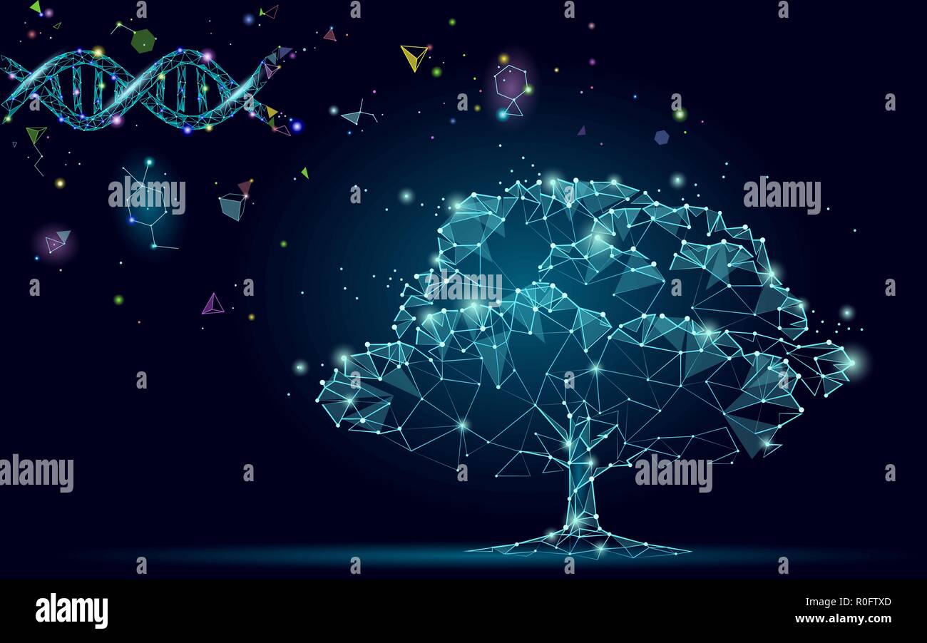 DNA-Entwicklung abstrakter Baum. Ökologie Natur gen Innovation Technology Business Konzept. Gvo-gen Engineering pflanzen Wissenschaft medizinische Forschung. 3D-Render starry Raumzeiger Abbildung Stock Vektor