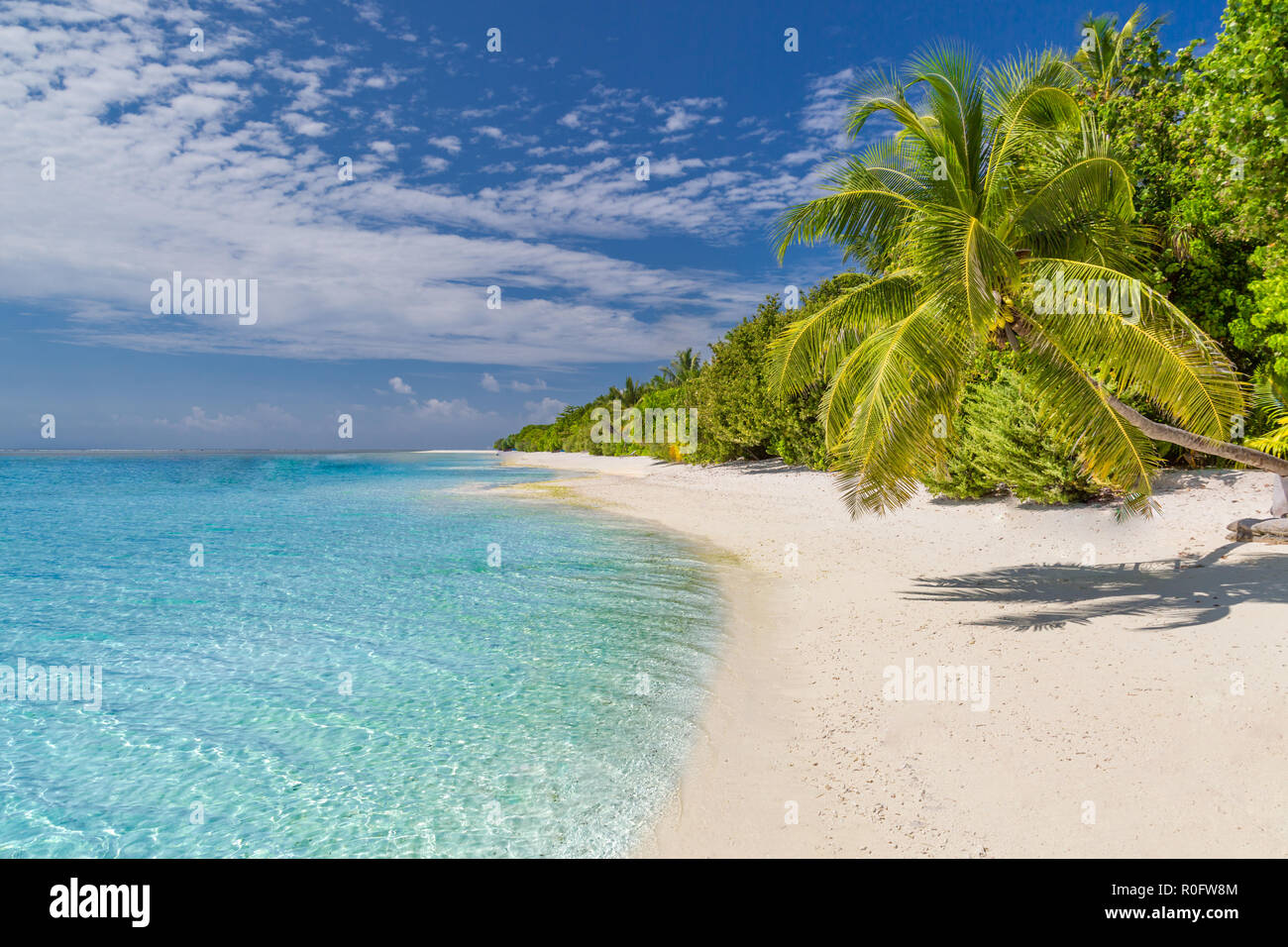 Schöner Strand, Palmen in der Nähe von blauen Meer, tropische Landschaft. Inspirierende exotische Hintergrund Stockfoto