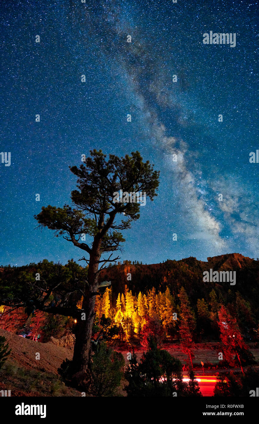 Nachthimmel mit Milchstraße über Red Canyon in Dixie National Forest, Utah, USA, Nordamerika Stockfoto