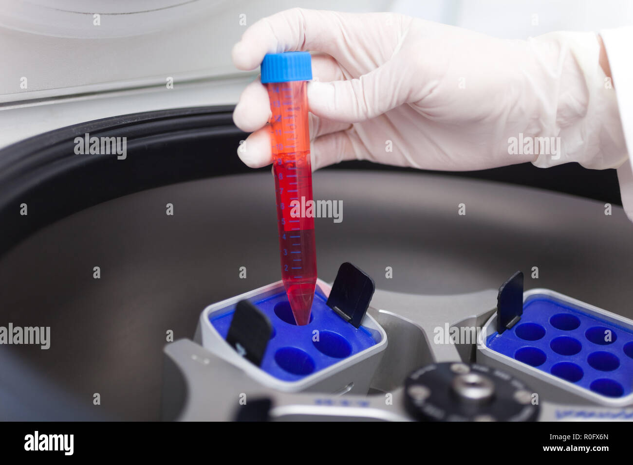 Detail von einem Arzt mit einer Laborzentrifuge Stockfoto