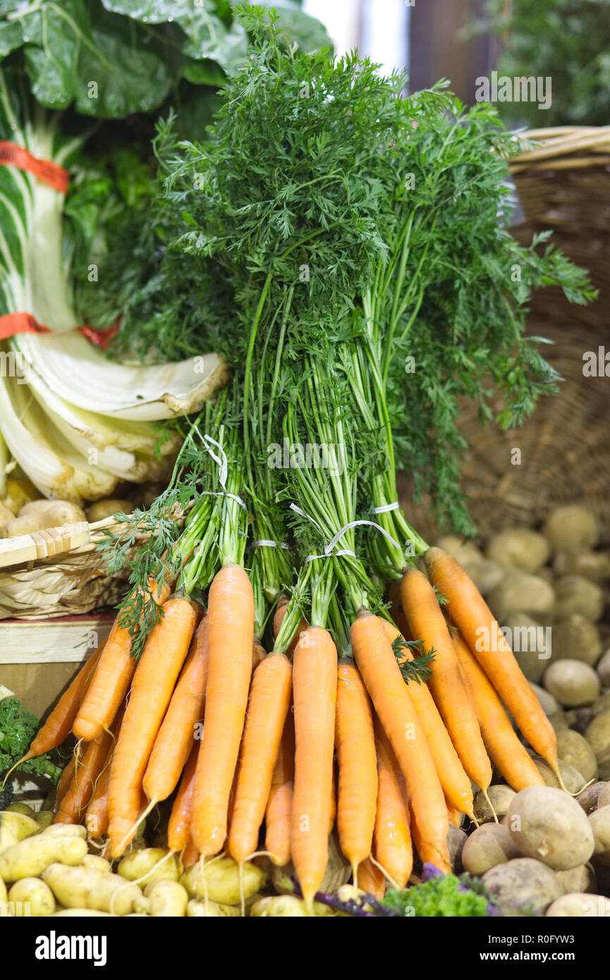 Biologisch angebaute Karotten Stockfoto