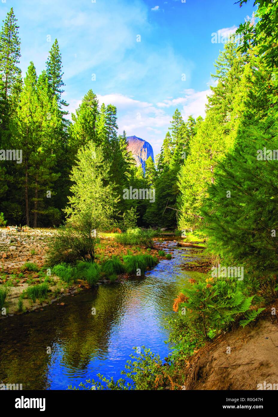 Yosemite Fluss an einem heißen Sommertag. Stockfoto