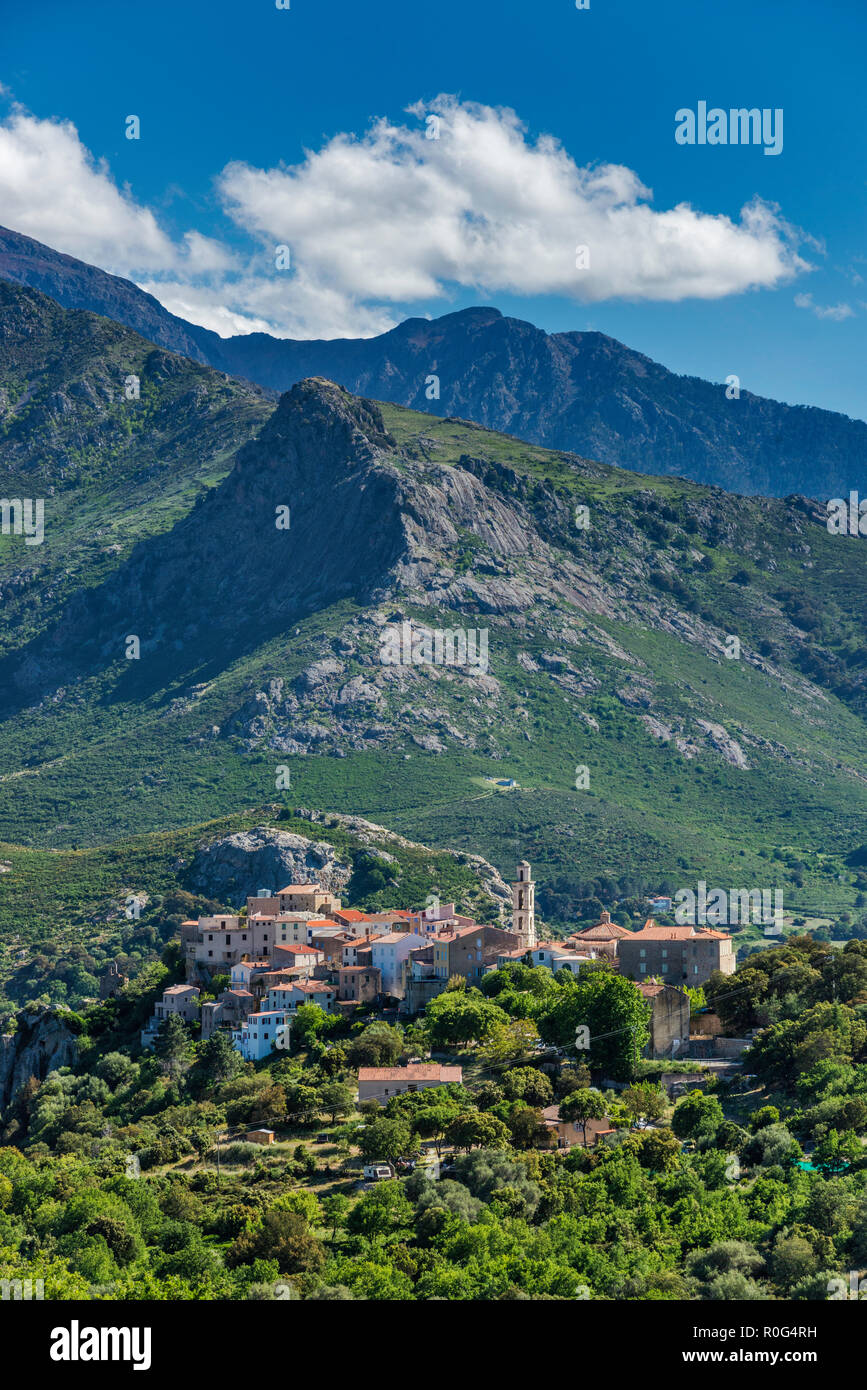 Monte kommune Fotos und Bildmaterial in hoher Auflösung Alamy