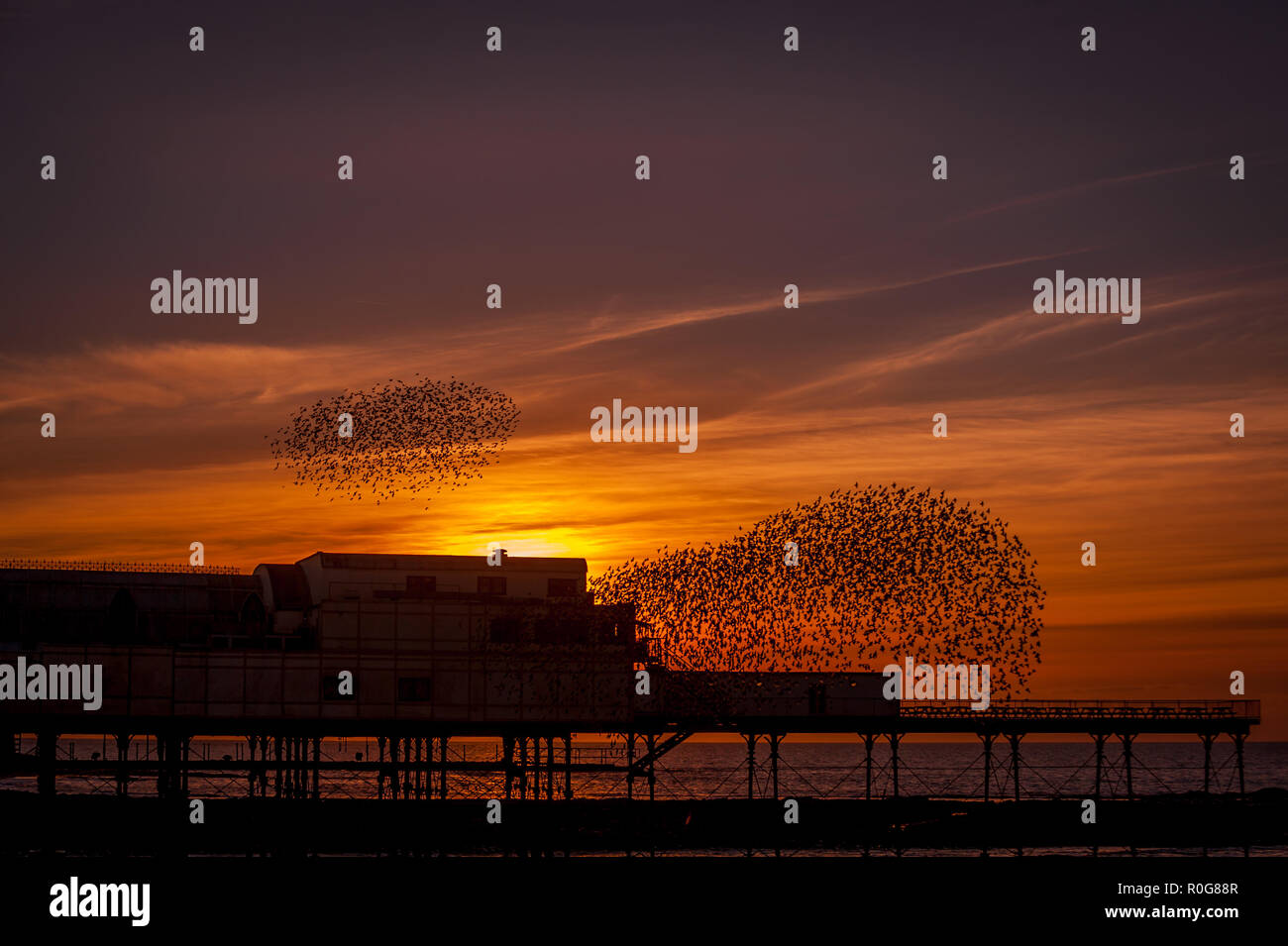 Eine murmuration der Stare fliegen Sie über den Pier in Aberystwyth, Ceredigion West Wales. Stockfoto