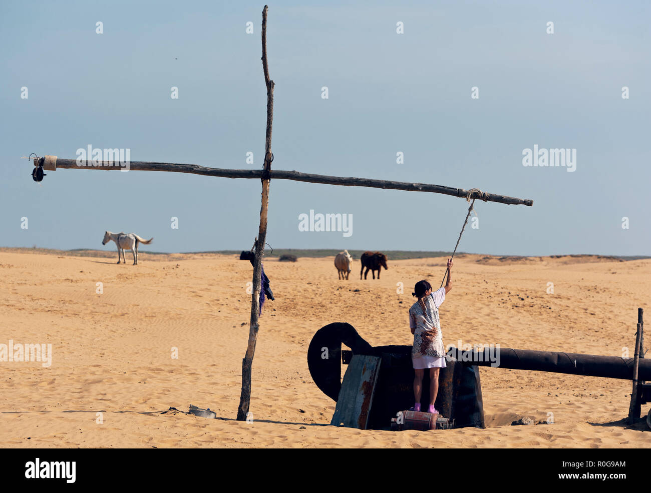 Sanddünen in der Russischen Wüste, Russland, Kaliningrad Stockfoto