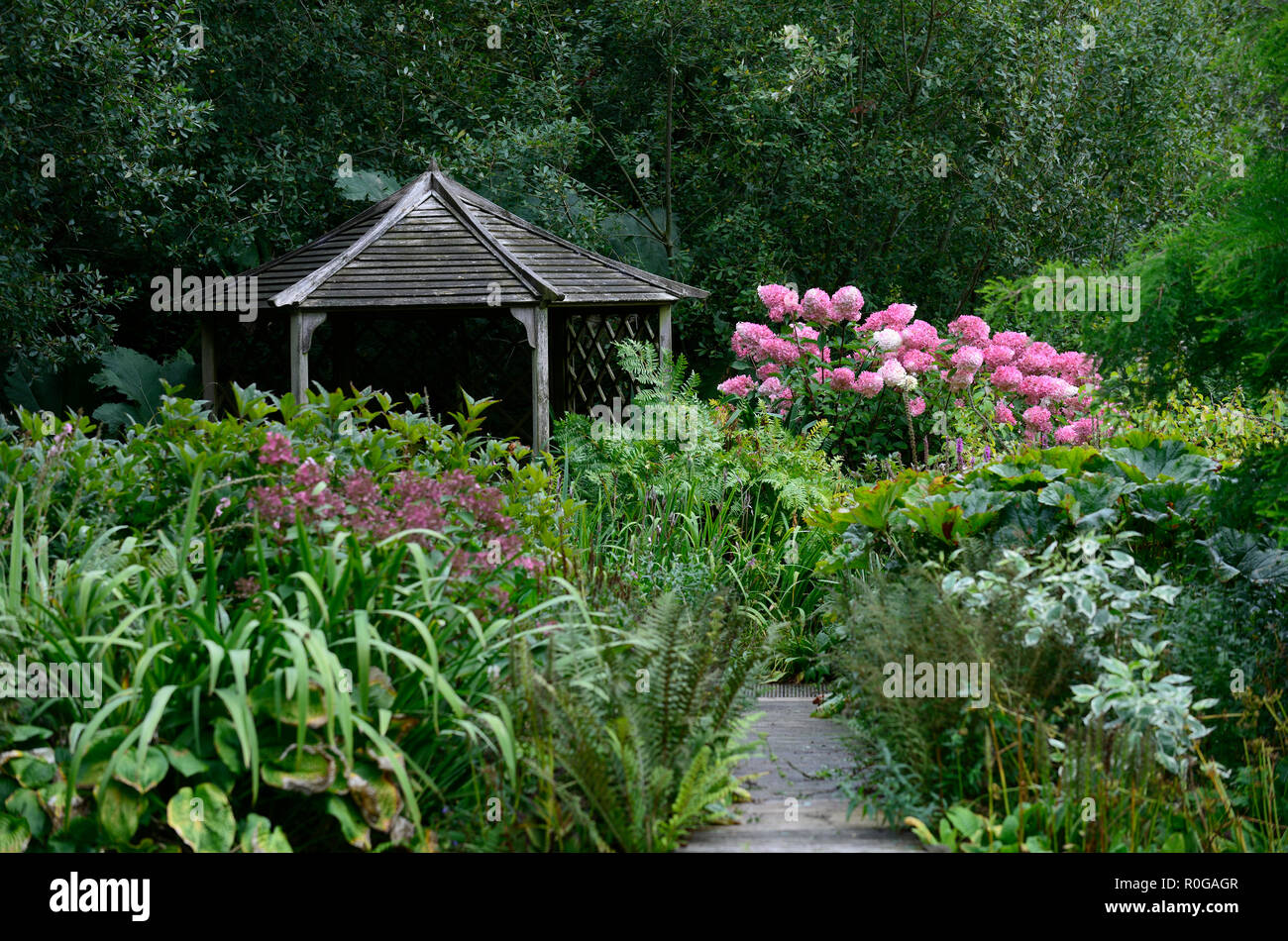 Holzpavillon, Hydrangea paniculata Vanille Fraise, grün, Blätter, Laub, ruhig, ruhig, friedlich, Raum, Farne, RM Stockfoto