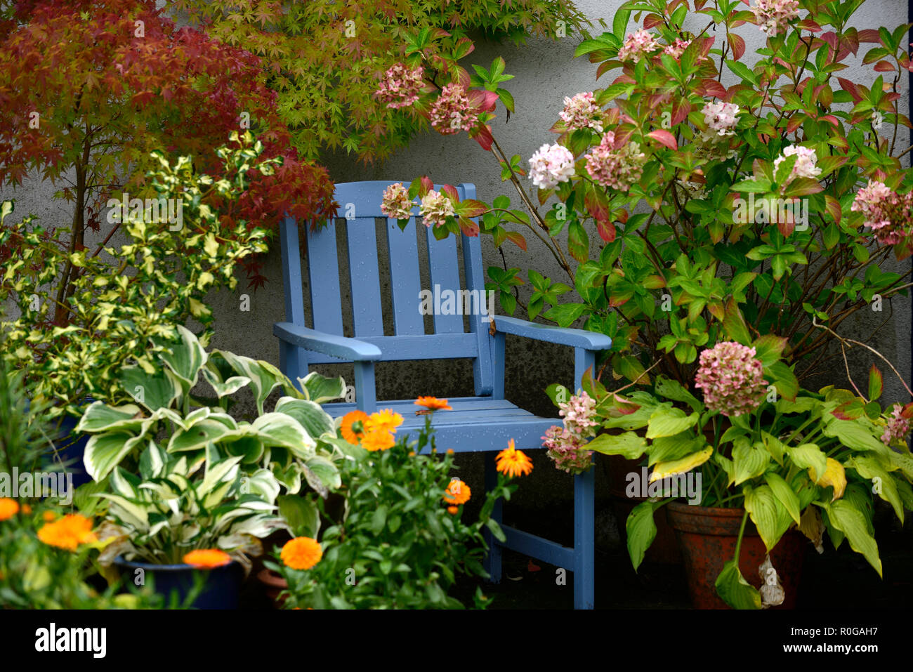 Blauer Stuhl, Holz, Holz, Sitzgelegenheiten, im Freien, im Freien, Gartenarbeit, Garten, RM Floral Stockfoto