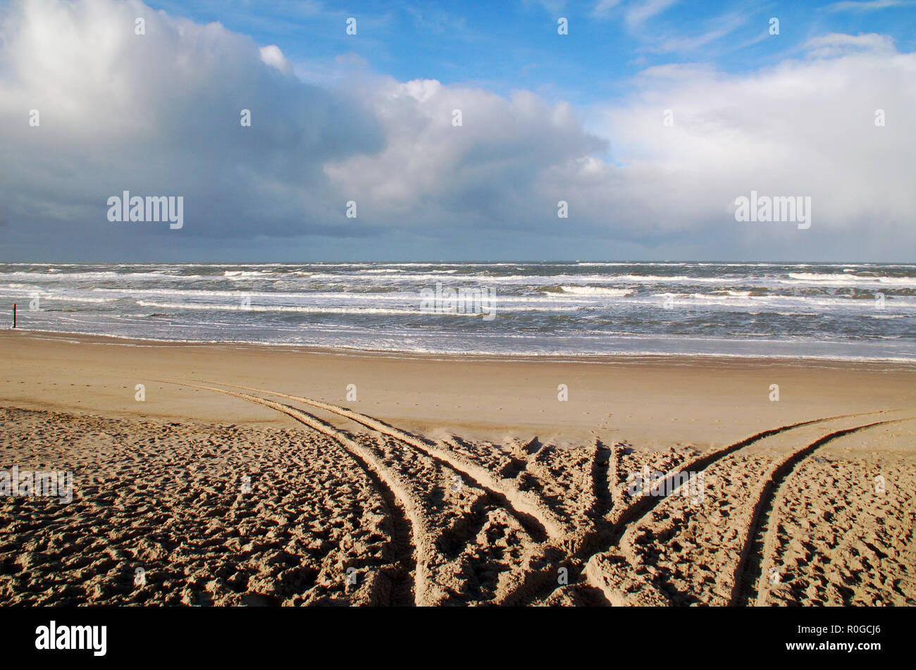 Nordsee Strand Auf Der Insel Texel Holland Europa Stockfotografie Alamy