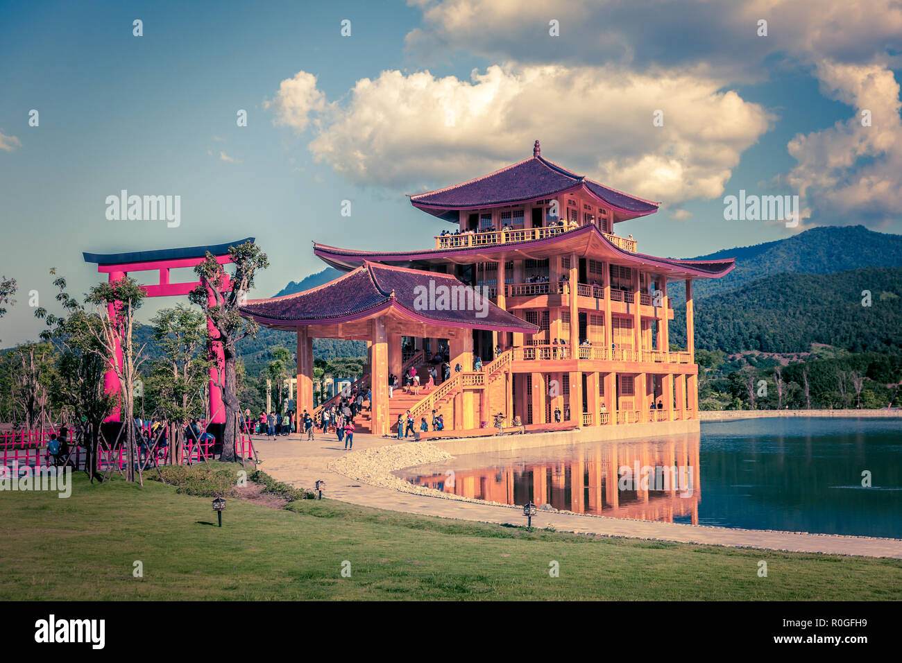 Hinoki land Chiang Mai, Thailand. Stockfoto