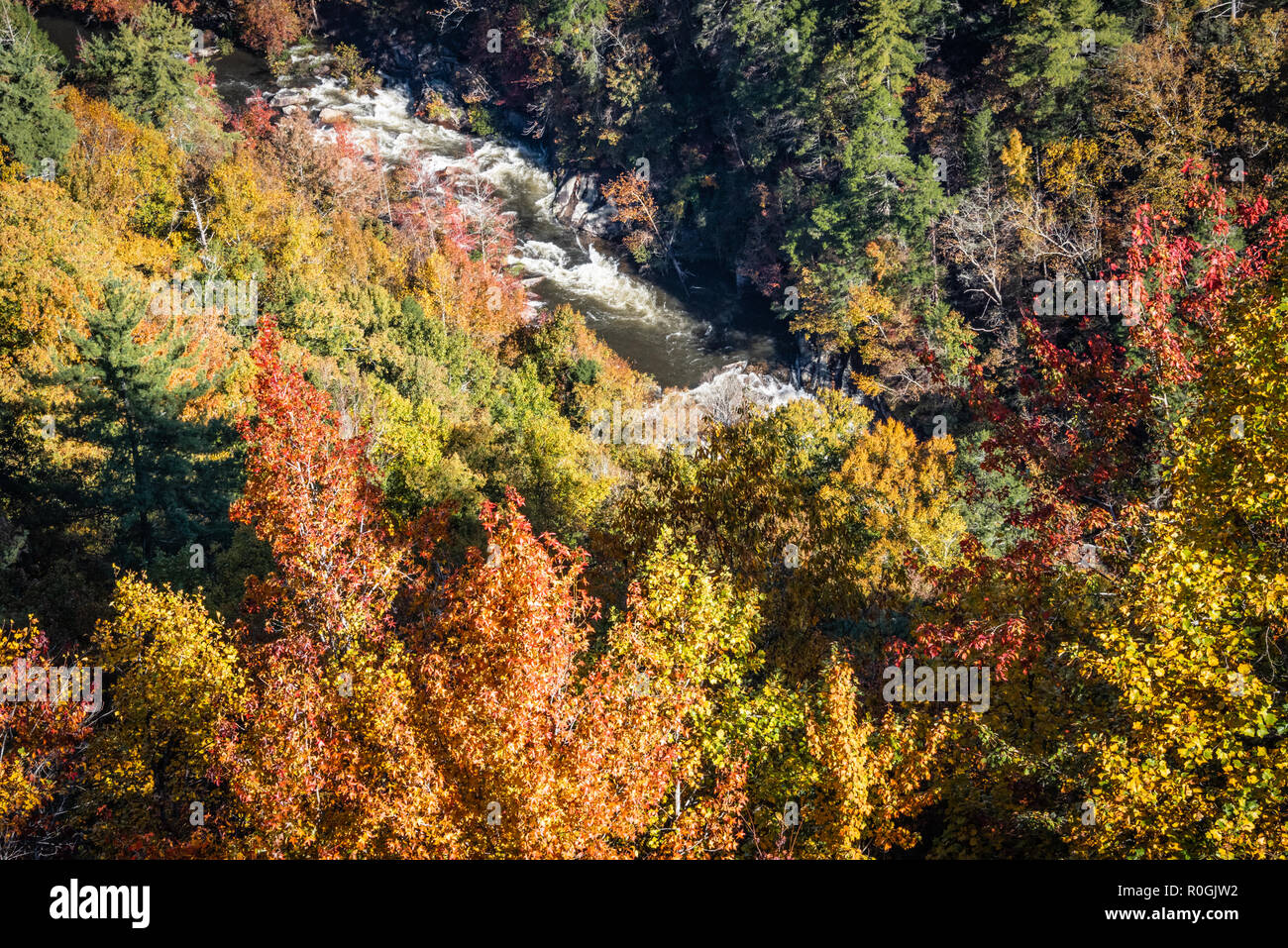 Herbst Laub Frames die tobenden Wasser des Tallulah Fluß während whitewater Release bei Tallulah Gorge State Park im Nordosten von Georgia. (USA) Stockfoto