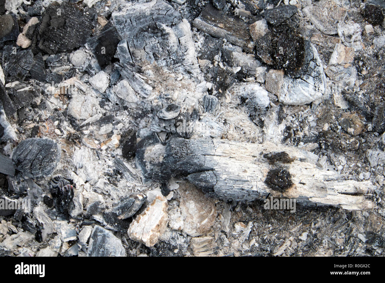 Brannte Kohlen mit grauer Asche nach gelöschten Brand für barbeсue, natürliche Hintergrund oder Textur Stockfoto