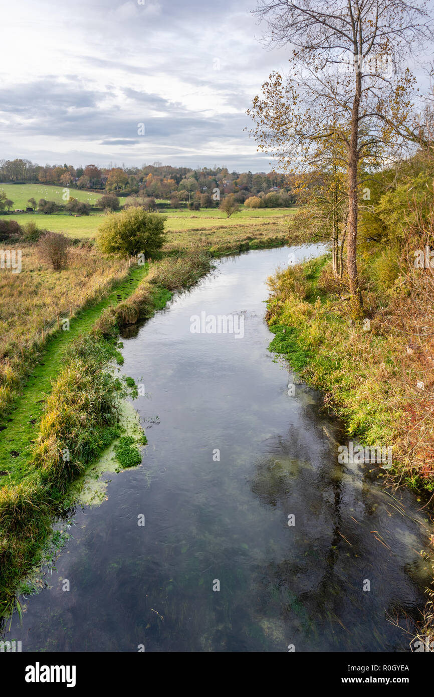 Itchen River in der Nähe von Winchester in Hampshire, England, Großbritannien Stockfoto