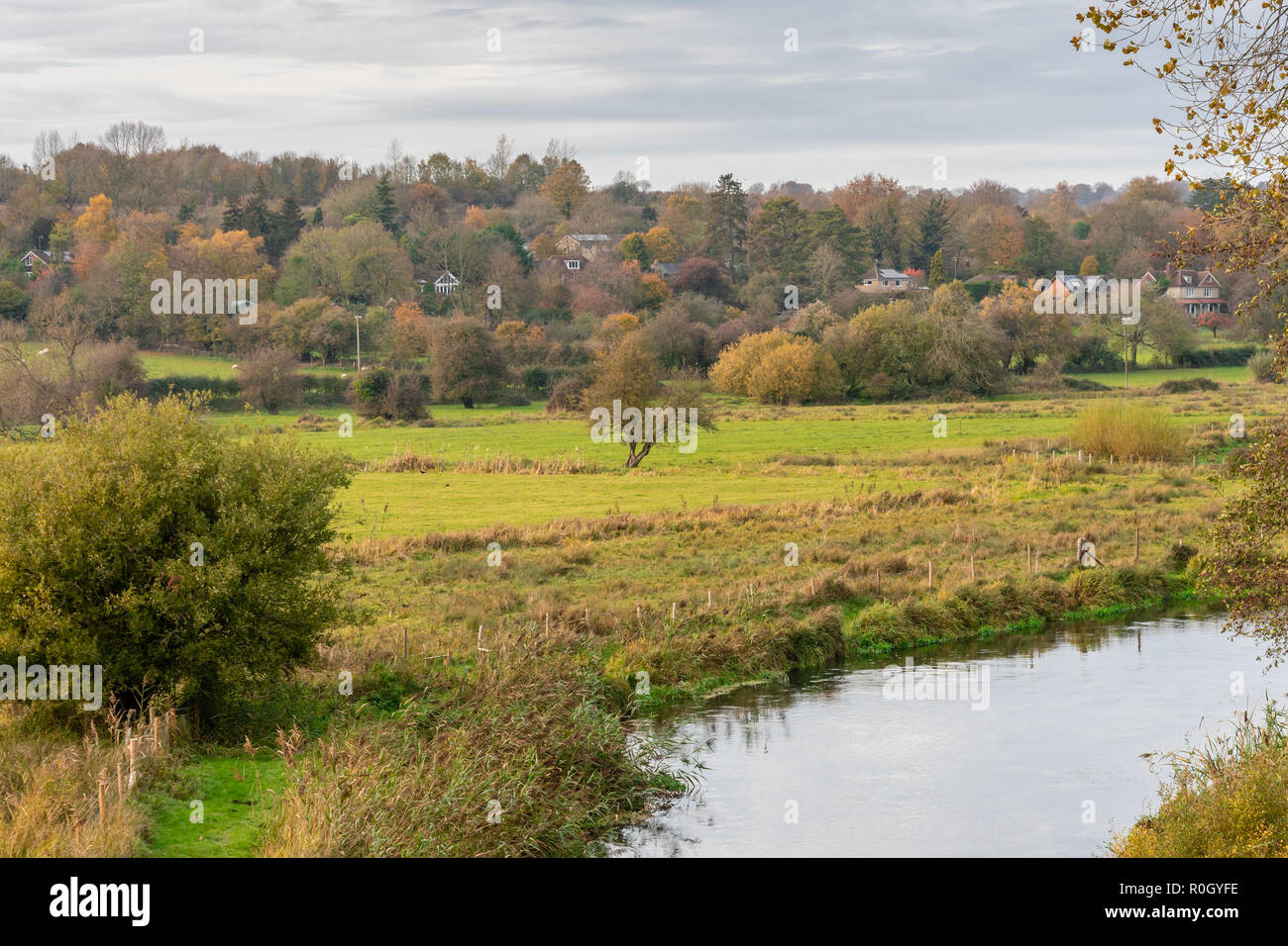 Fluss Itchen in der Nähe von Winchester in Hampshire im Herbst - Herbstlandschaft, England, Großbritannien Stockfoto