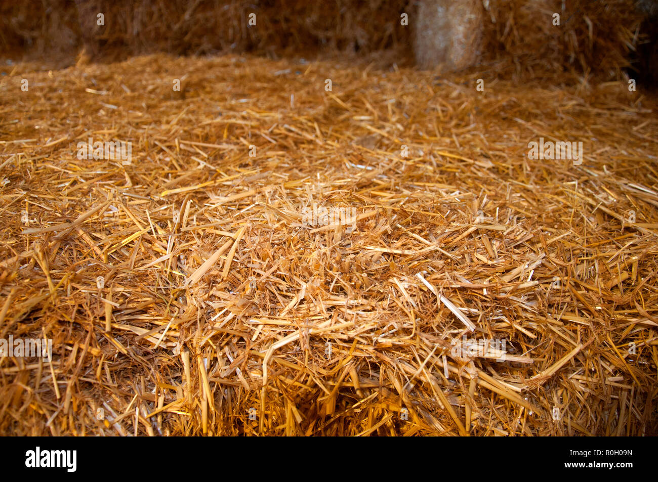 Grosse Ziegelstein von Gelb, trockenem Heu, Makro Stockfoto