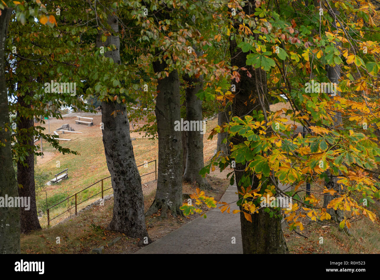 Blick auf Parks und Herbst Dörfer - Blick in Parks und Herbstdörfer - Viste su Parchi e villaggi autunnali Stockfoto