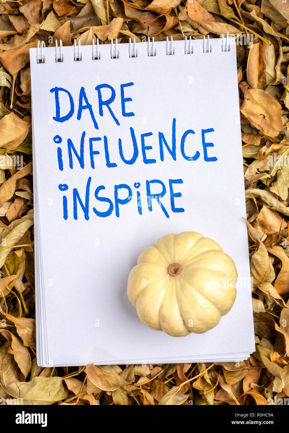 Es wagen, Einfluss, inspirieren - Handschrift in einer Spirale Art Skizzenbuch mit ornamentalen Kürbis gegen trockene Herbst Blätter Stockfoto