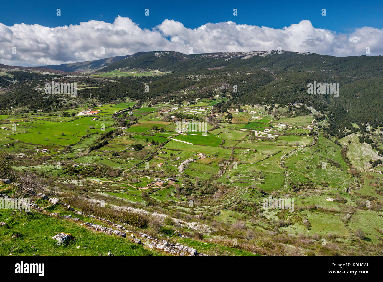 Gargano Massiv, Carbonara Tal, Ansicht von Stadt Monte Sant'Angelo, Nationalpark Gargano, Apulien, Italien Stockfoto