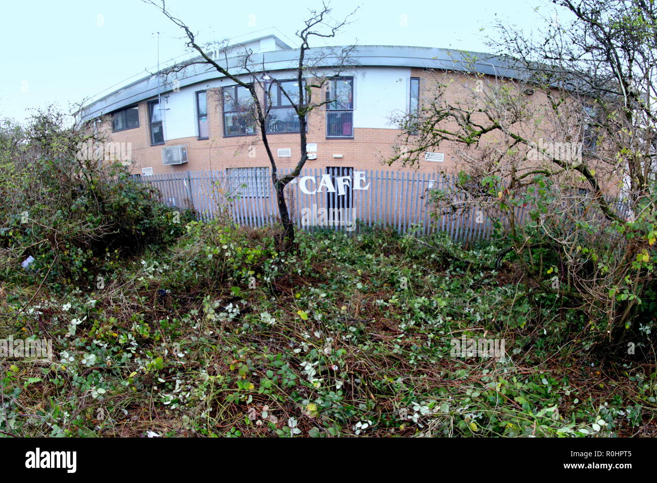 Glasgow, Schottland, Großbritannien, 5. November 2018. Braes Avenue in Clydebank sah eine polizeiliche Untersuchung nach einem Körper in der Nähe der Freizeitanlage gefunden wurde. Ein Bereich yp hinter dem Neben dem Radweg auf der Forth-and-Clyde-Kanal hatte die Bereinigung von der Polizei geräumt und war für eine Weile, wie Einheimischen aufgenommen wurden befragt, um Informationen. Gerard Fähre / Alamy news Credit: Gerard Fähre / alamy Leben Nachrichten Stockfoto
