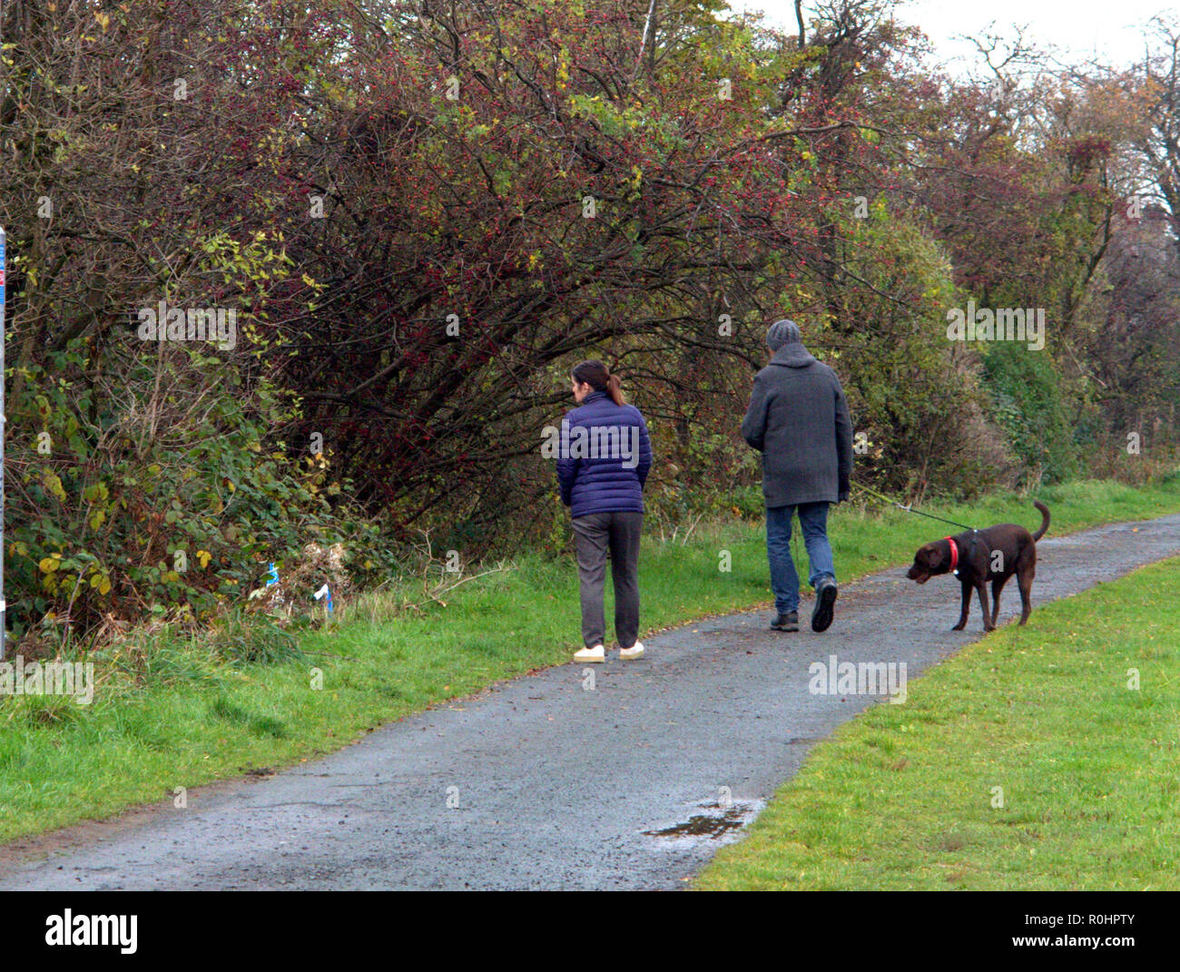 Glasgow, Schottland, Großbritannien, 5. November 2018. Braes Avenue in Clydebank sah eine polizeiliche Untersuchung nach einem Körper in der Nähe der Freizeitanlage gefunden wurde. Ein Bereich yp hinter dem Neben dem Radweg auf der Forth-and-Clyde-Kanal hatte die Bereinigung von der Polizei geräumt und war für eine Weile, wie Einheimischen aufgenommen wurden befragt, um Informationen. Gerard Fähre / Alamy news Credit: Gerard Fähre / alamy Leben Nachrichten Stockfoto