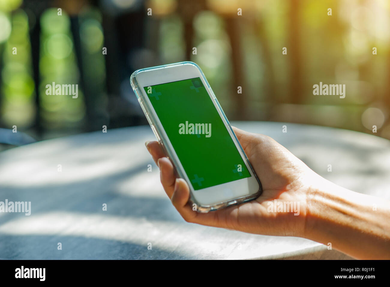 Die Ansicht wird geschnitten, aus der Hand der Frau mit einem smart phone mit einem leeren Bildschirm für Text oder Text Inhalt der Nachricht lesen auf einem Mobile p Stockfoto