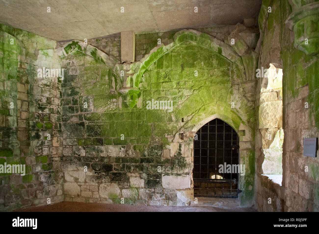 Die untere Küche im Old Wardour Castle, in der Nähe von Tisbury, Salisbury, Wiltshire, UK. Stockfoto