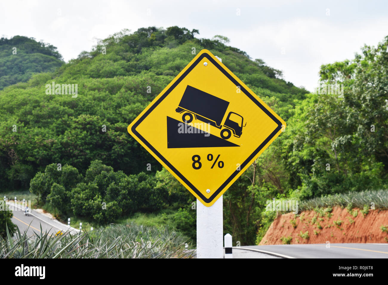 Verkehr Straße Zeichen Warnung an Hill steilen Aufstieg (8%), asphaltierte Straße in den Wald mit Bäumen und Ananas Plantage am Berg in Thailand gefüllt Stockfoto