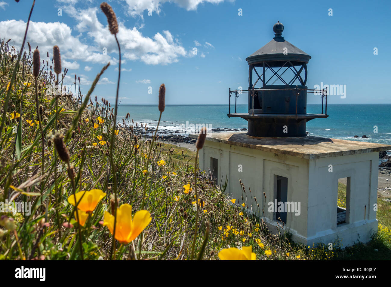 Wandern die Lost Coast in der Nähe von Punta Gorda Leuchtturm, King Mountain Range, Nordkalifornien Stockfoto