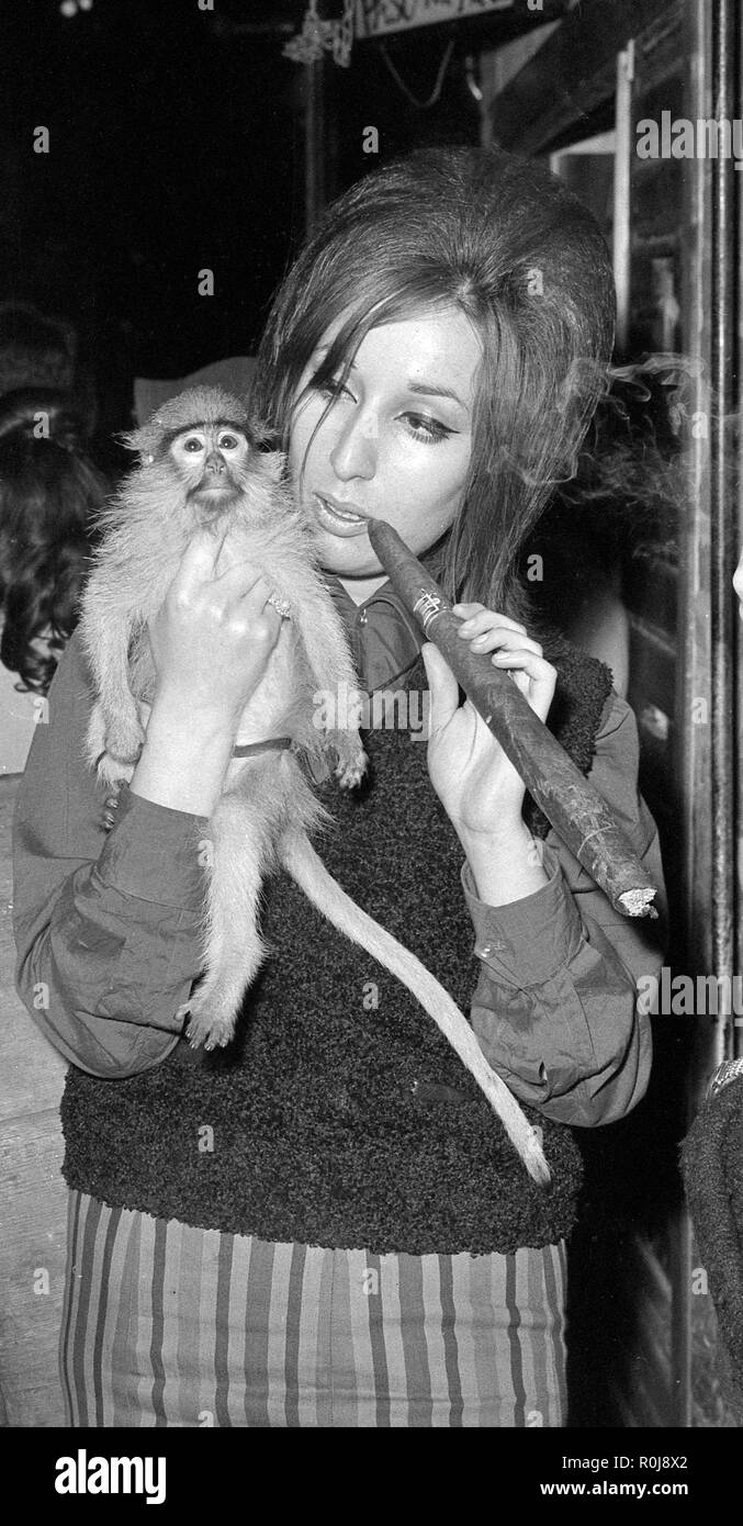 Was war der größte Beatnik sammeln je in Großbritannien "gesehen an den Paso Por Aqui Club in Hampstead, London stattfand. Stockfoto