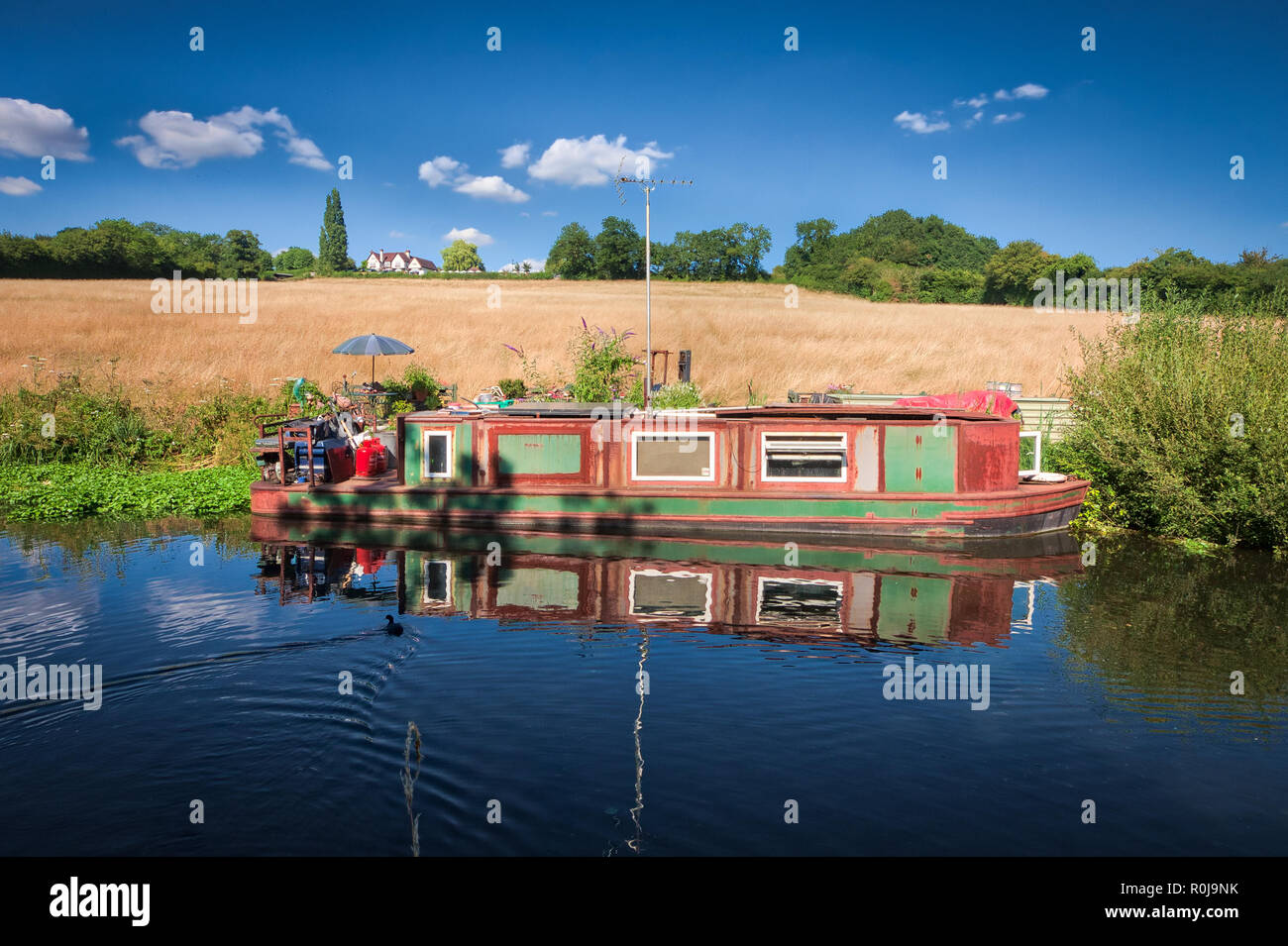 Boot an einem sonnigen Tag, mit den Bäumen und einem Feld hinter auf Grand Union Canal, in der Nähe der Black Jack's Lock, Großbritannien Stockfoto
