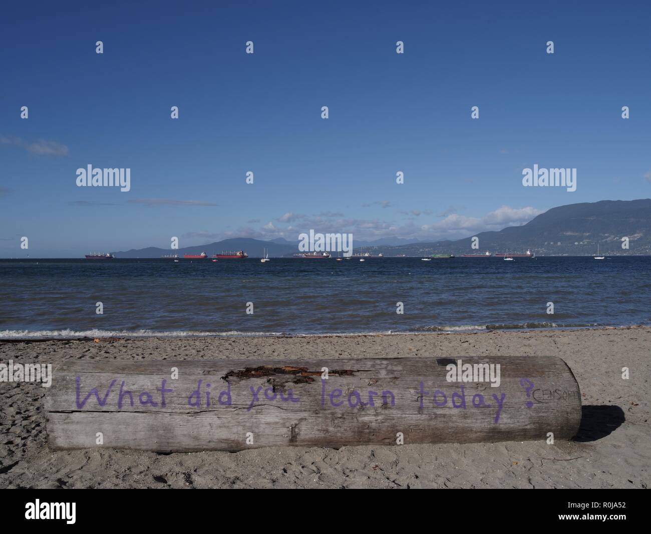 Kits Beach, Kitsilano, Vancouver, British Columbia, Kanada, Brian Martin RMSF, große Dateigröße Stockfoto