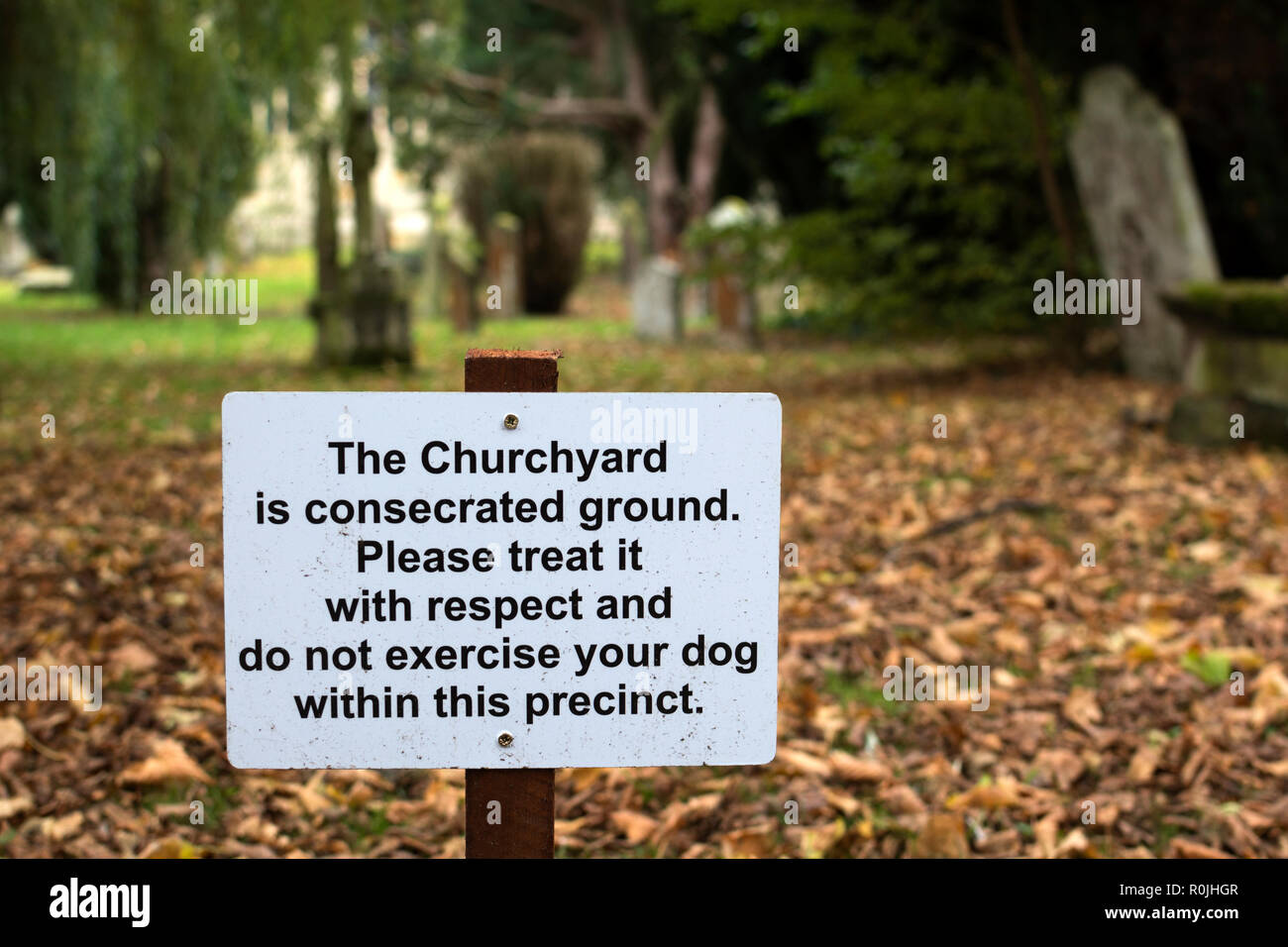 Zeichen gegen die Ausübung Hunde in der Heiligen Dreifaltigkeit Kirchhof, Stratford-upon-Avon, Warwickshire, Großbritannien Stockfoto