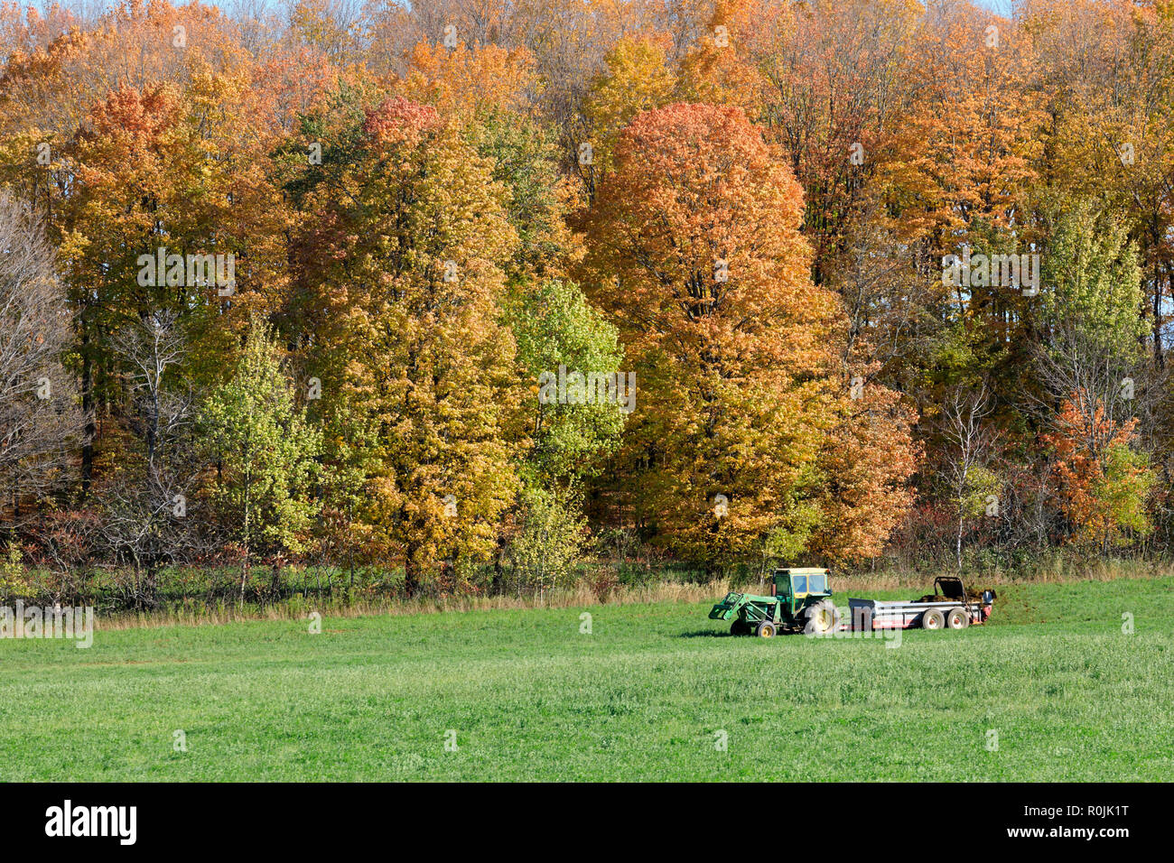 Die Landwirtschaft im südlichen Ontario Stockfoto
