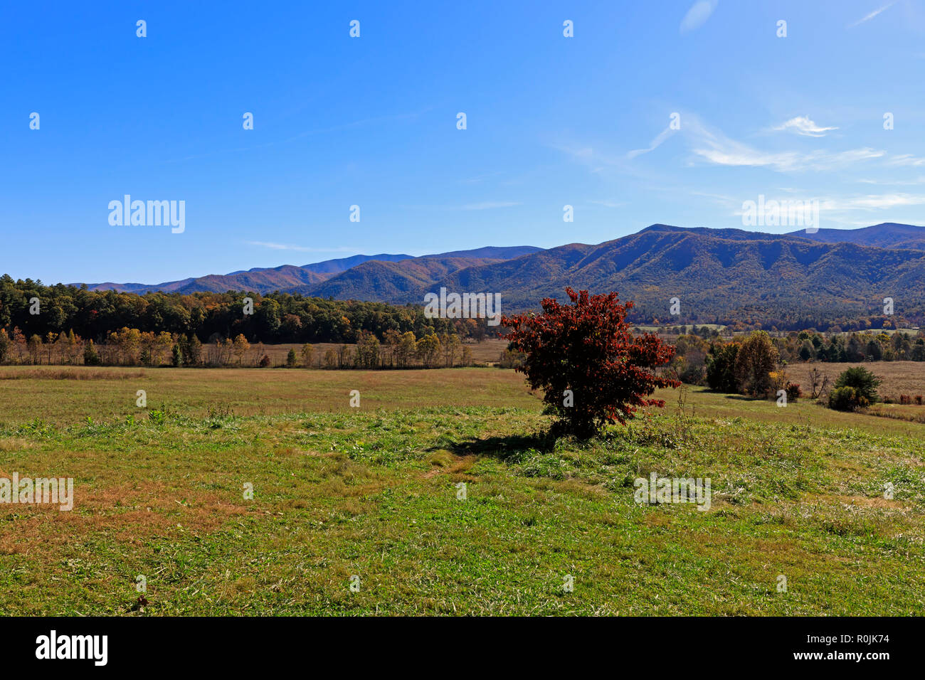 Herbstfarben im Great Smoky Mountains National Park Stockfoto