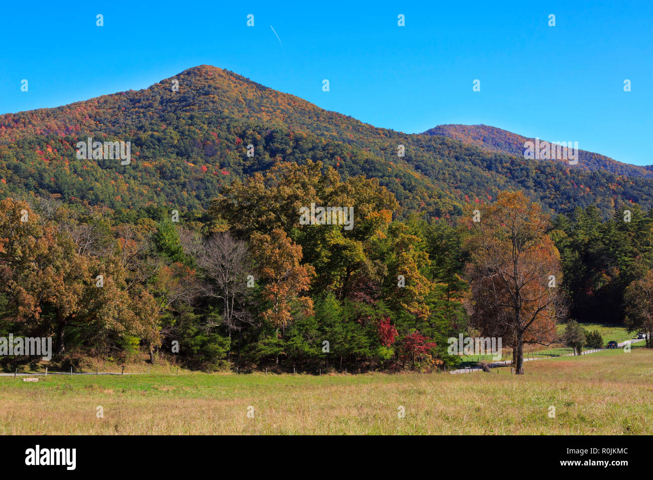 Herbstfarben im Great Smoky Mountains National Park Stockfoto