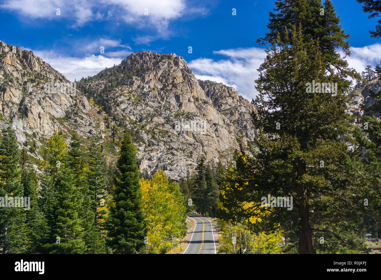 Fahrt durch die Sierra Berge in Richtung Sonora Pass an einem sonnigen Herbsttag, Kalifornien Stockfoto