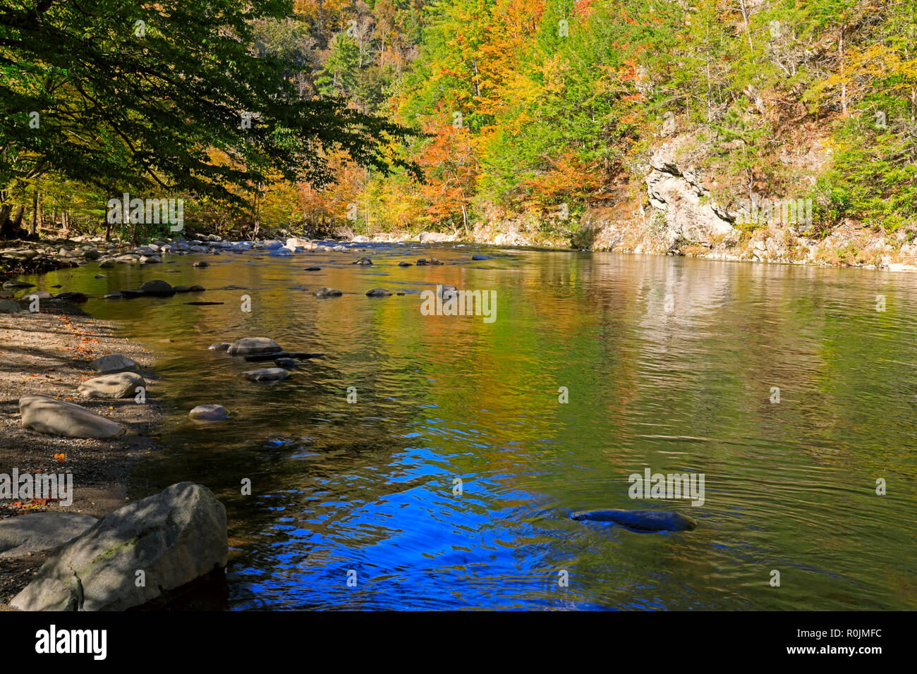 Little River im Herbst, Smoky Mountains National Park Stockfoto