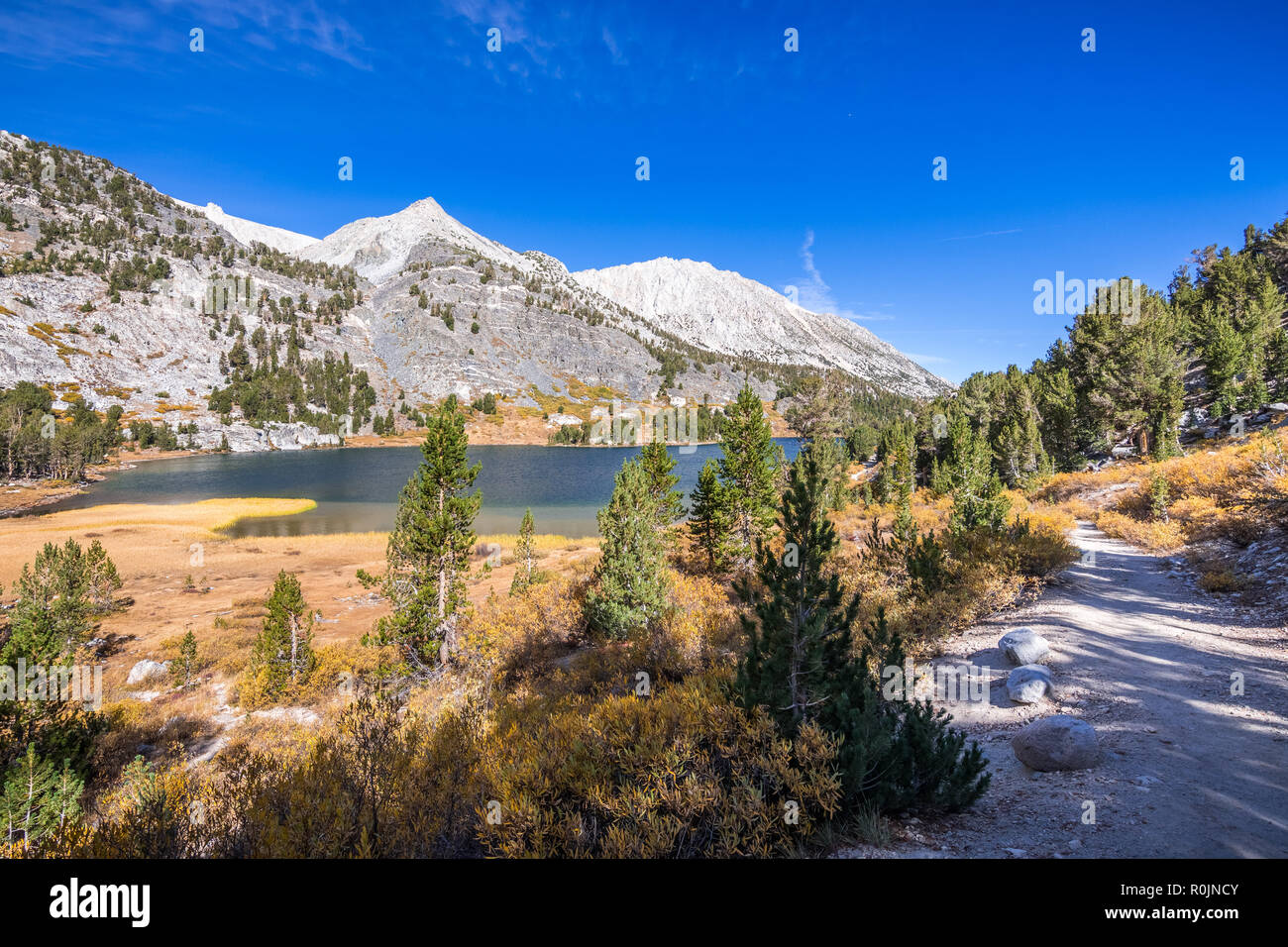 Wanderweg nach der Küstenlinie von Langen See, kleine Seen Valley Trail, John Muir Wildnis, östlichen Sierra Mountains, Kalifornien Stockfoto