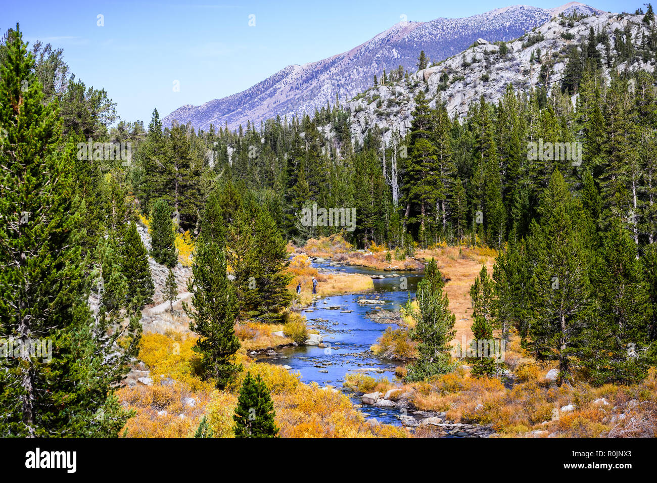 Rock Creek (auf den kleinen Seen Tal Wanderweg) durch Wiesen und Wälder in der östlichen Sierra Bergen umgeben, Kalifornien Stockfoto