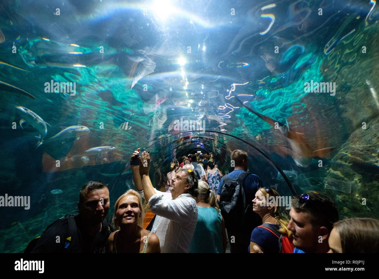 Teneriffa, Kanarische Inseln, Spanien - September 2018: Personen innerhalb des Shark tunnel Aquarium der Loro Park (Loro Parque) Zoo in Teneriffa. Stockfoto