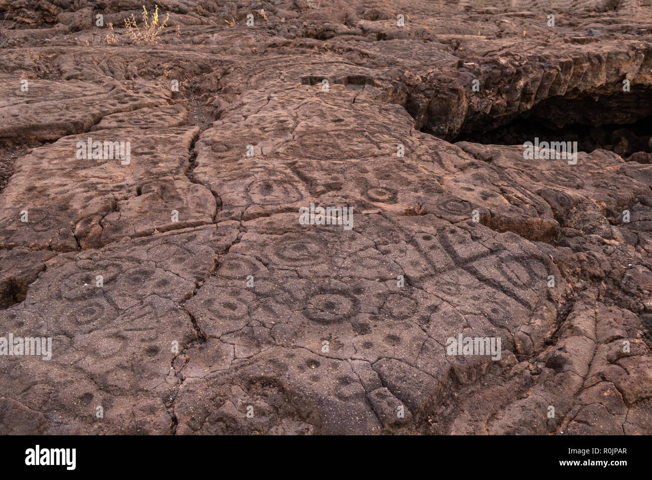 Felszeichnungen in Waikoloa Feld, auf der King's Trail ('Mamalahoa'), in der Nähe von Kona auf der grossen Insel von Hawaii. In vulkanischen Felsen. Stockfoto