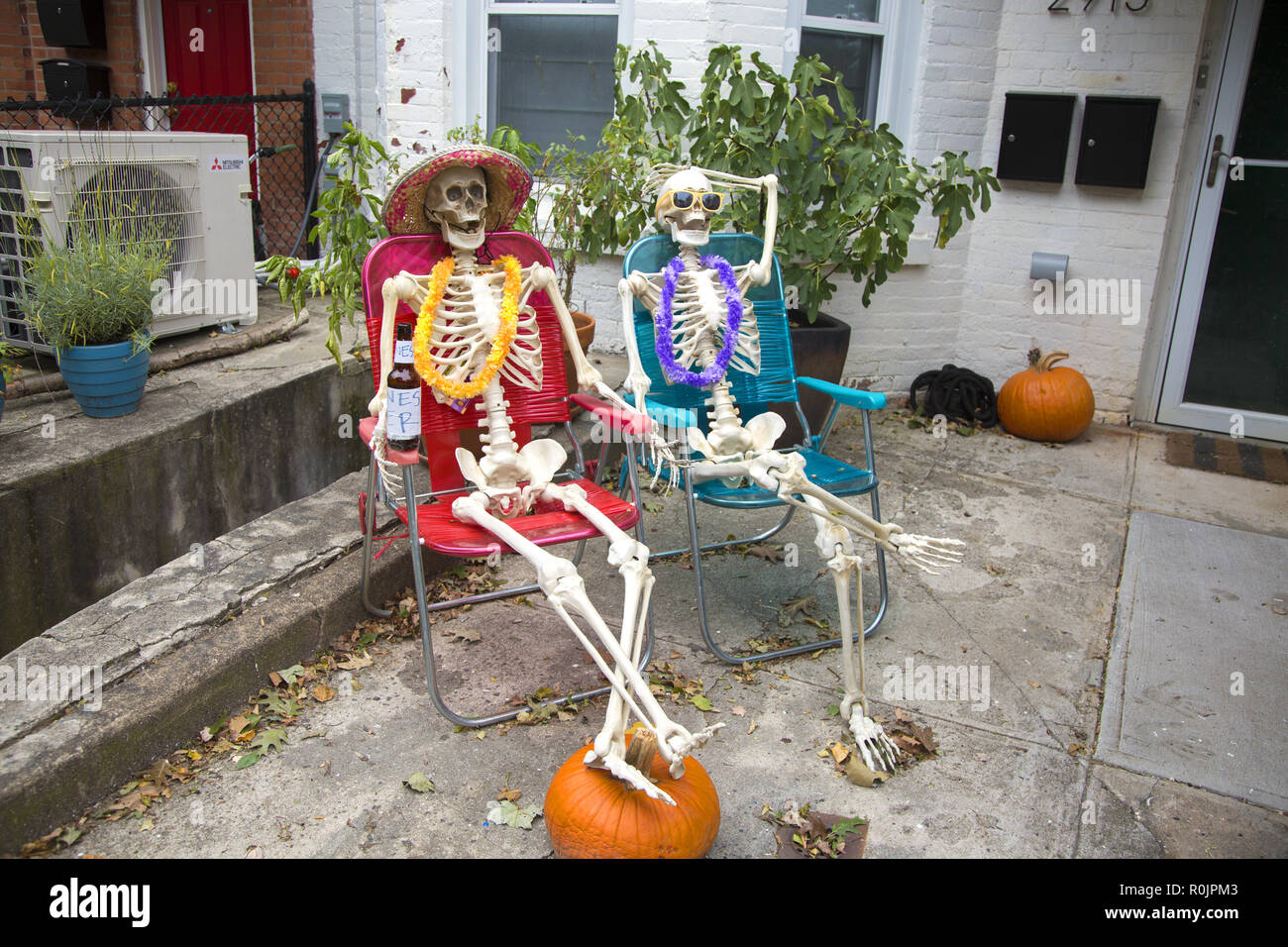 Ein paar Skelette entspannen im Vorgarten warten auf Kinder auf Halloween zu kommen. Park Slope, Brooklyn, New York. Stockfoto