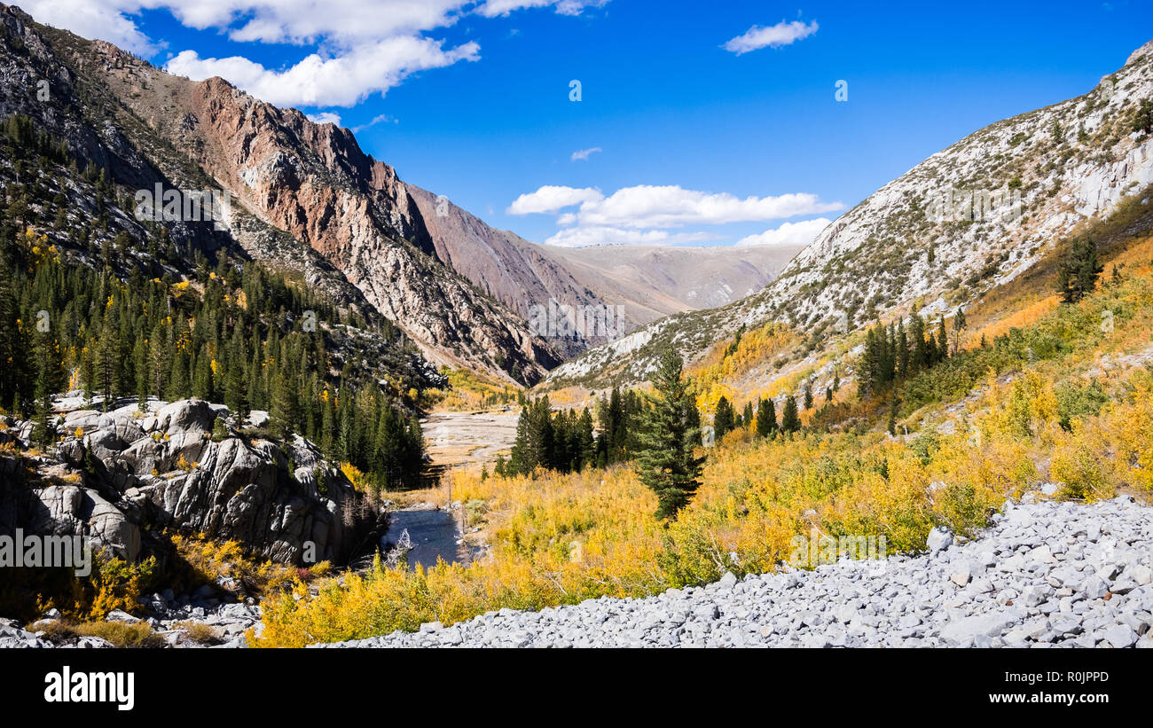 Herbstfarben, McGee Creek Valley in der östlichen Sierra Mountains, Kalifornien Stockfoto