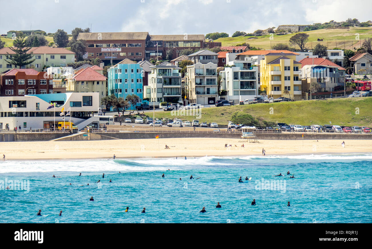 Surfer im Ozean am Bondi Beach Sydney, NSW, Australien. Stockfoto