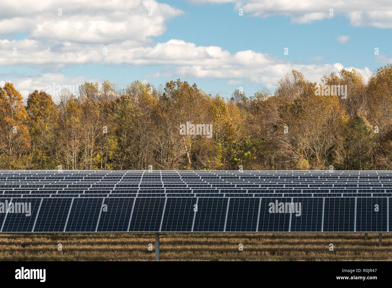 Erneuerbare Energien ersetzt farm Ernten in Virginia Stockfoto