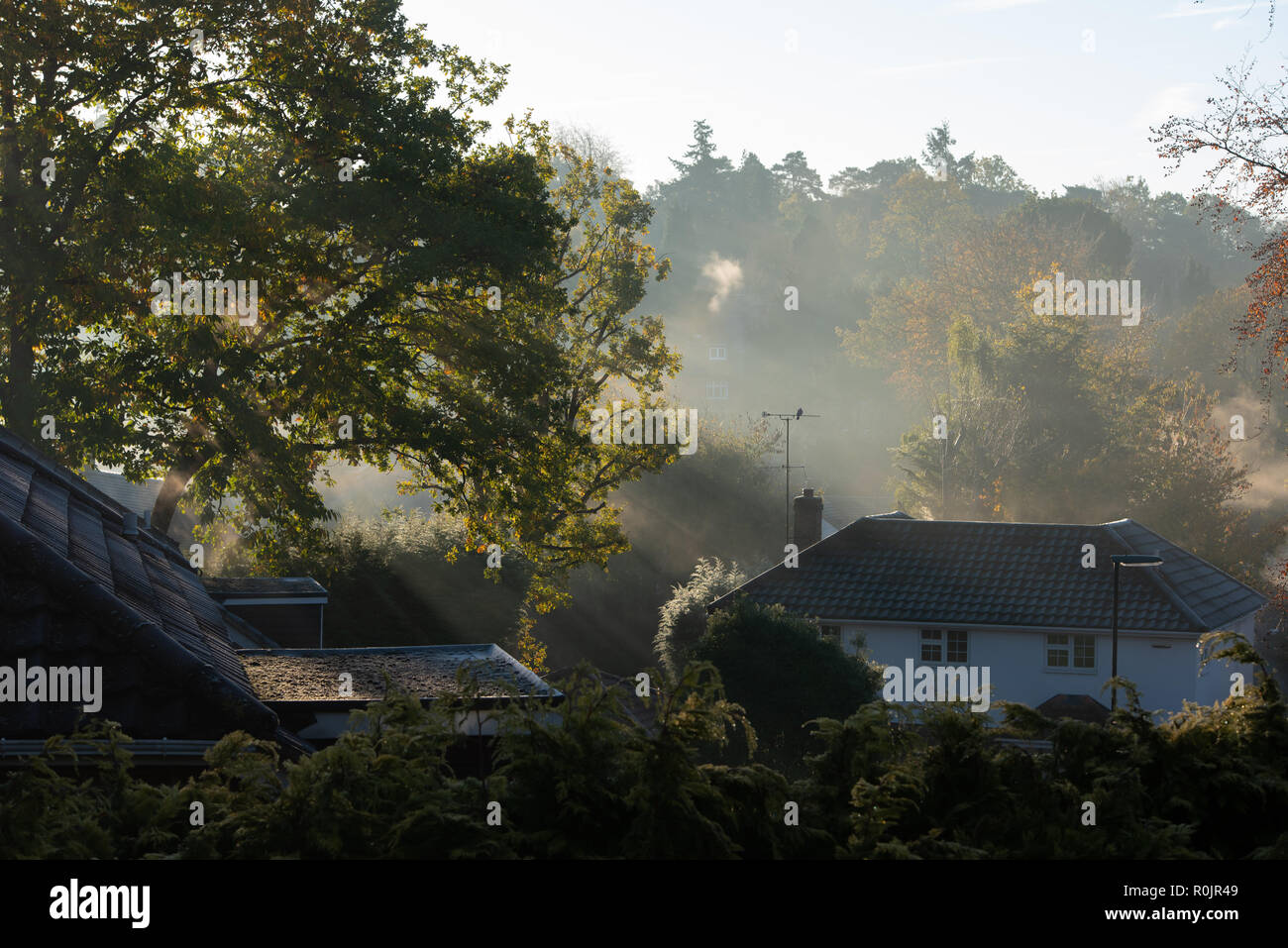 Ein Suburban House in Surrey an einem kalten frostigen nebligen Morgen mit der Sonne nur durch zu brechen. Stockfoto