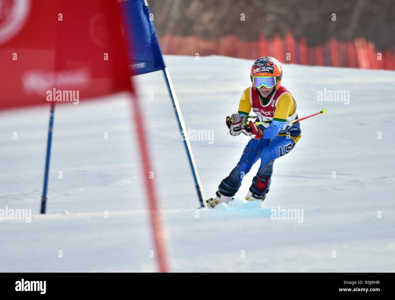 LOON MOUNTAIN USA - Januar 24: Tina Sutton Denkmal - Slalom Ski Wettbewerb unbekannter Teilnehmer nähert sich dem Tor während Junior Ski Race auf Stockfoto