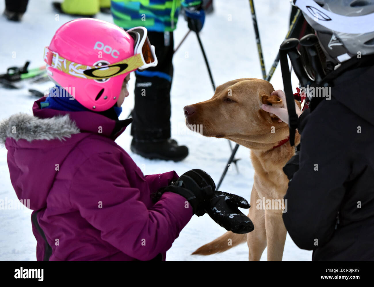 LOON MOUNTAIN USA - Januar 24: Tina Sutton Denkmal - Slalom Ski Wettbewerb. Nicht identifizierte Personen mit Hund aufpassen Junior Ski Race am 24. Januar, 20. Stockfoto