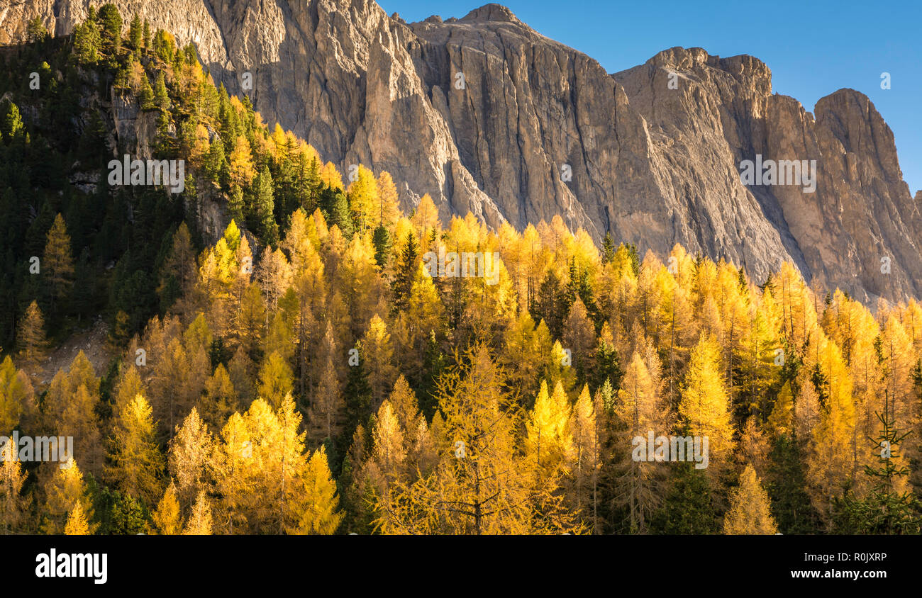 Herbst Landschaft in Gröden mit einem Bäume im Herbst Farben. Lage Nationalpark Dolomiti, Südtirol, Provinz Bozen, Italien, Europa Stockfoto