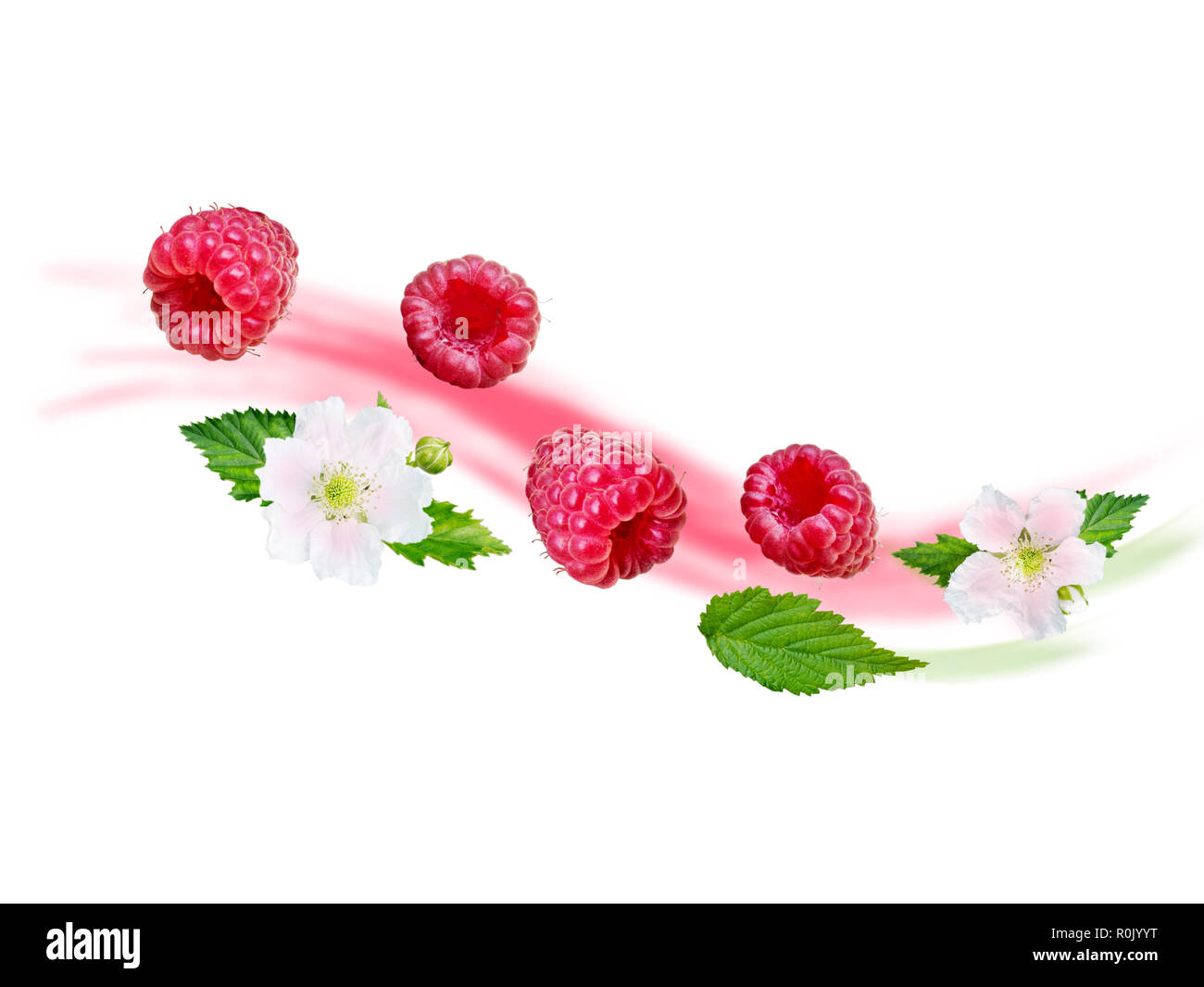 Flying himbeere Wave. Reif und saftig roten Beeren, frische Blätter und weiße Blumen auf die unscharfen Fruchtjoghurt Hintergrund. Stockfoto