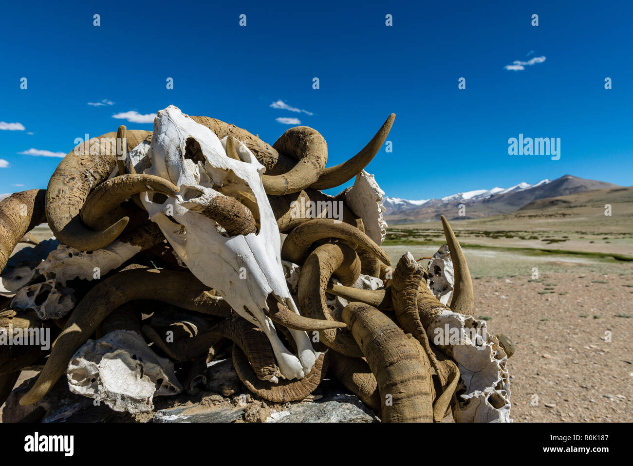 Diese buddhistische choerten, allgemein von den Buddhisten als ein Ort des Gebets und der Meditation verwendet, ist in der Nähe von Tso Kar in Changtang Region befinden und von y gebaut Stockfoto